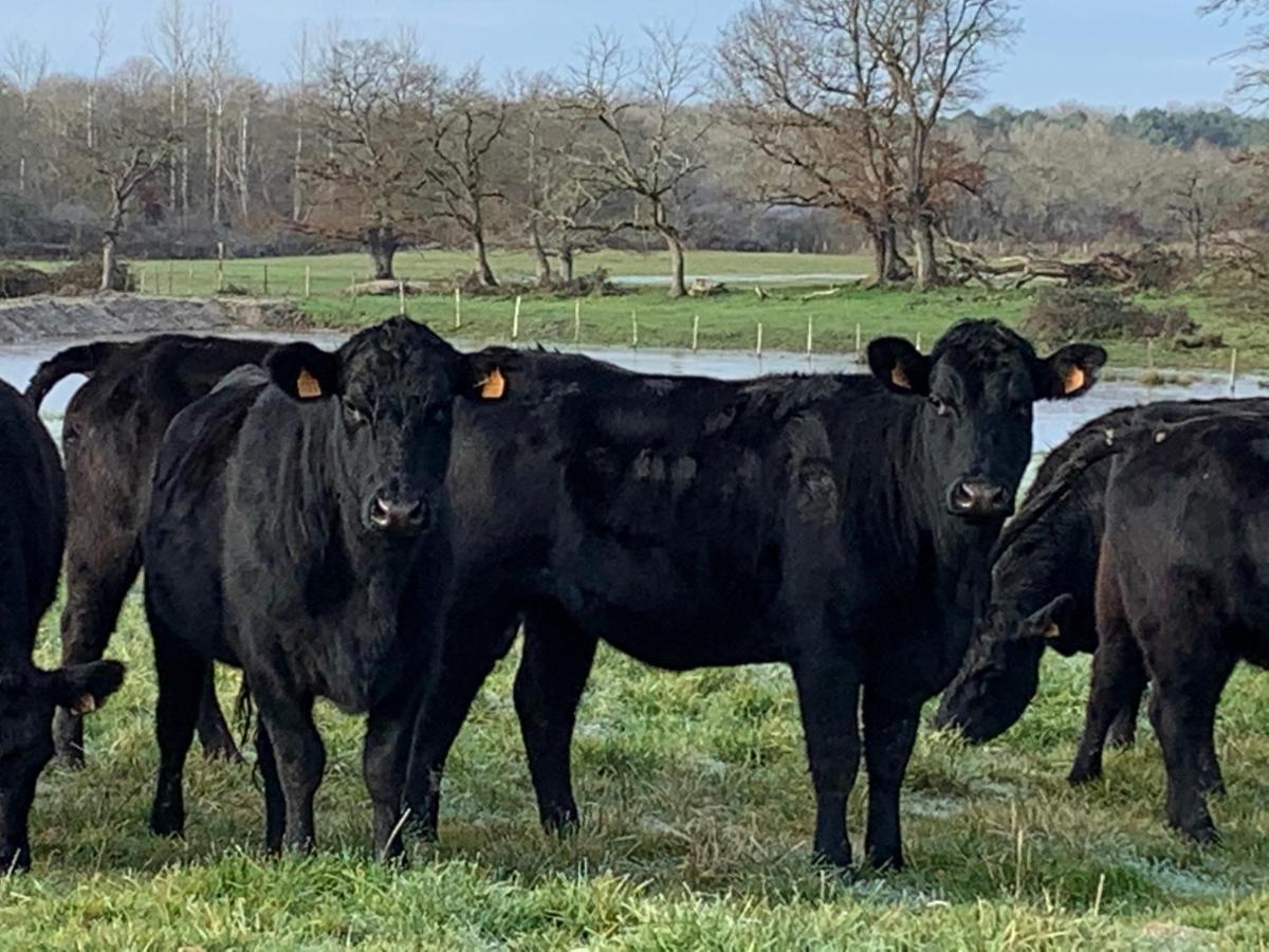 Chambres D Hote A La Ferme Des Buttons, Chambre Iris Rosnay  Zewnętrze zdjęcie